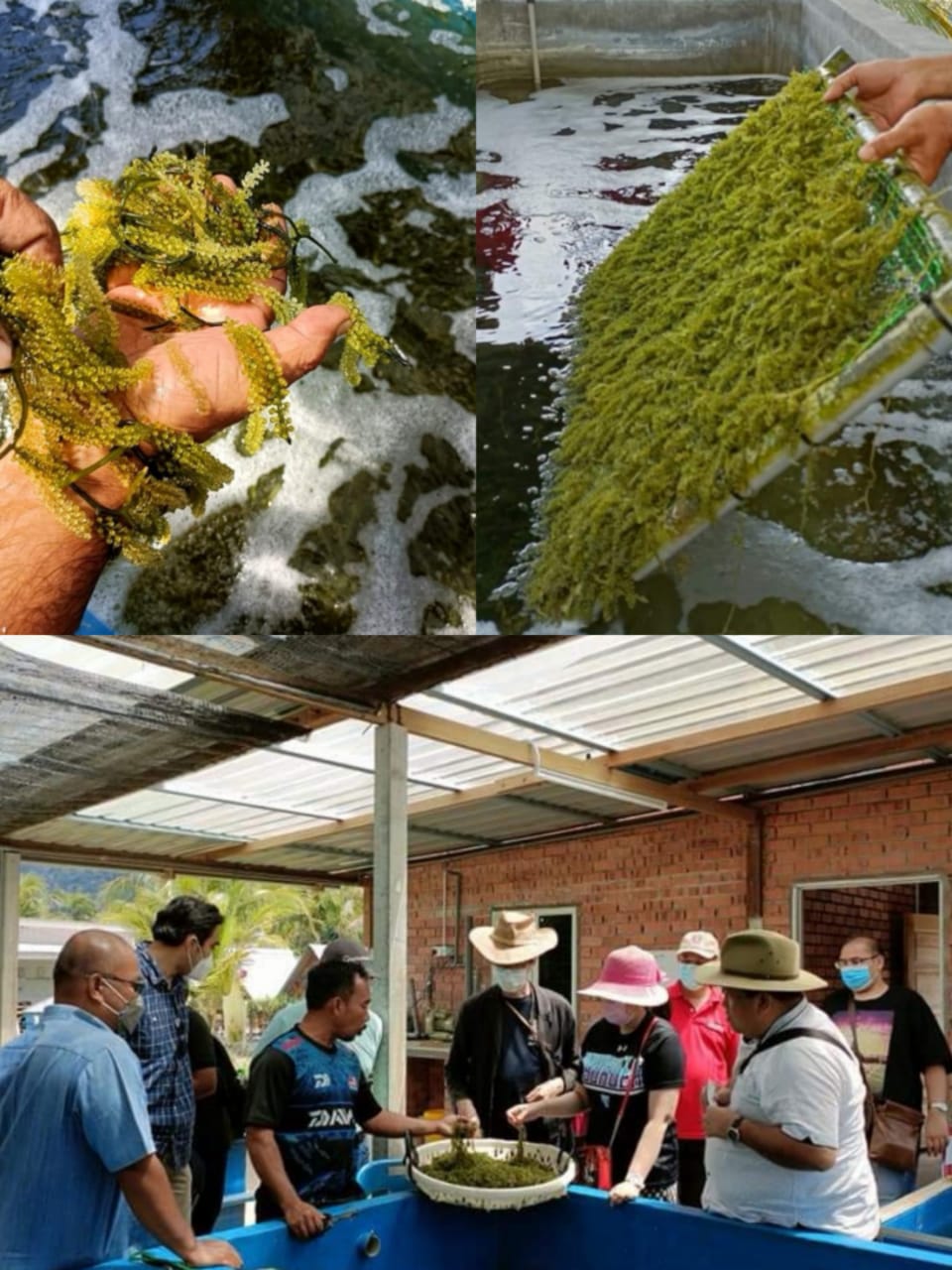 UiTM supports SDGs by sustaining fishing community through knowledge transfer